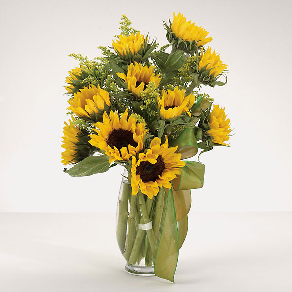 Sunshine, 1 dozen Sunflowers, Solidago