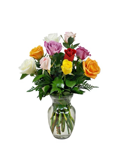 Dozen Multi Color Roses