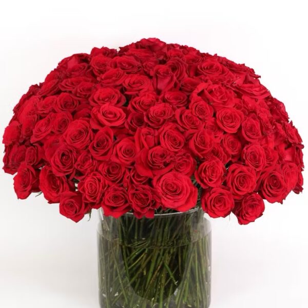 200 Red Roses